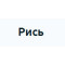 Рись