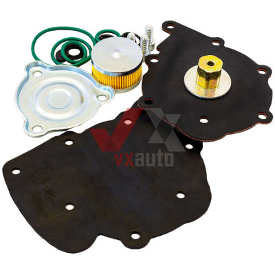 Ремкомплект редуктора Tomasetto Nordic (с фильтром и резинками)